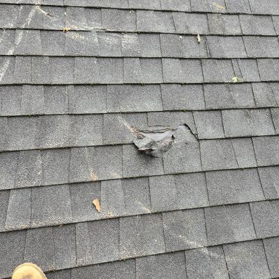 Emergency tree service operation site