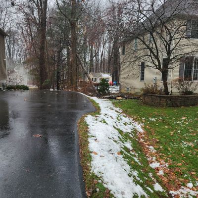 Emergency tree service operation site