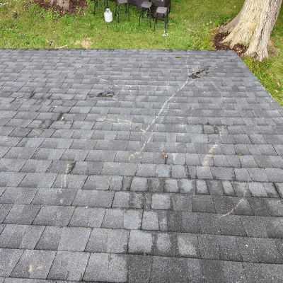 Emergency tree service operation site