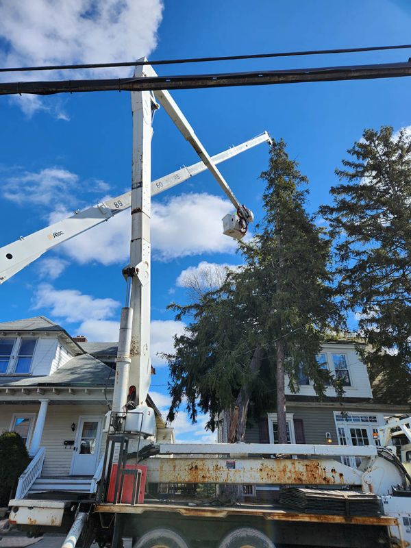 Crane and bucket services