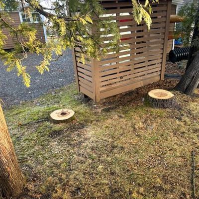 Tree care project image