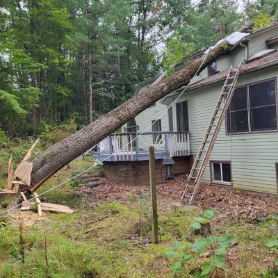 Emergency tree service operation site