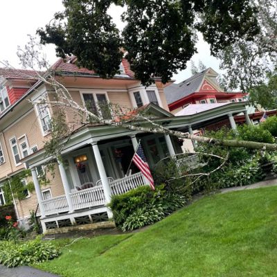 Emergency tree service operation site