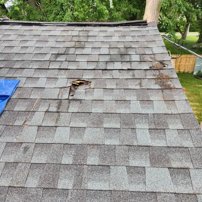 Emergency tree service operation site