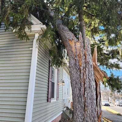 Emergency tree service operation site