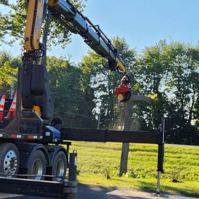 Tree care project image