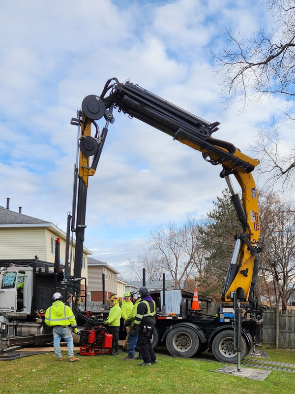 Tree removal and related services