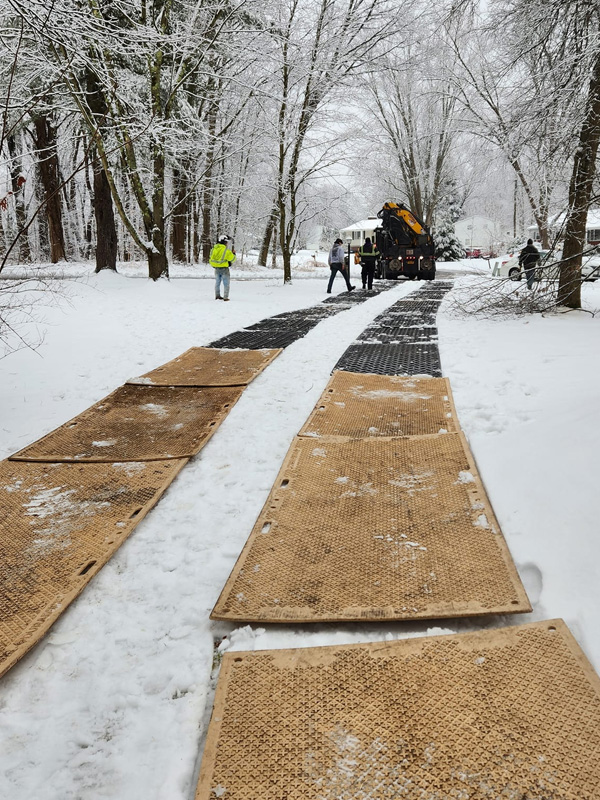 Tree removal and related services