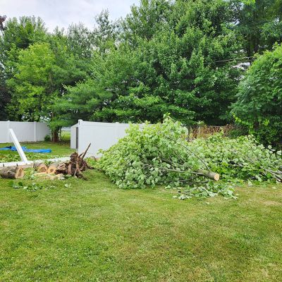 Emergency tree service operation site