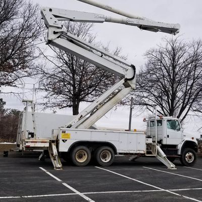 Tree care project image