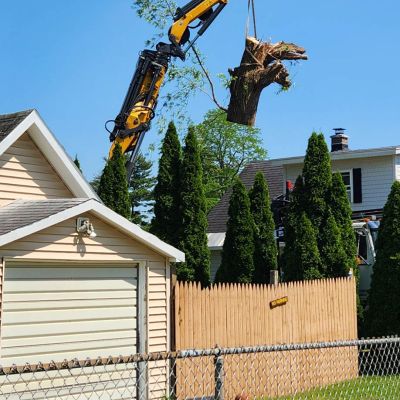 Emergency tree service operation site