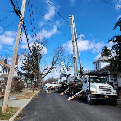 Emergency tree service operation site