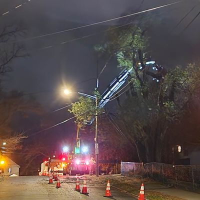 Emergency tree service operation site