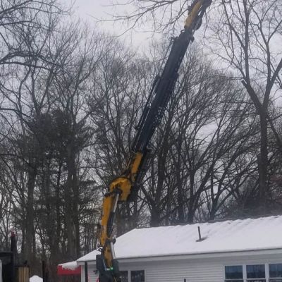 Tree care project image