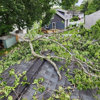 Emergency tree service operation site