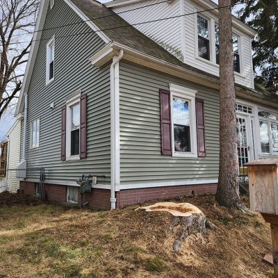 Emergency tree service operation site