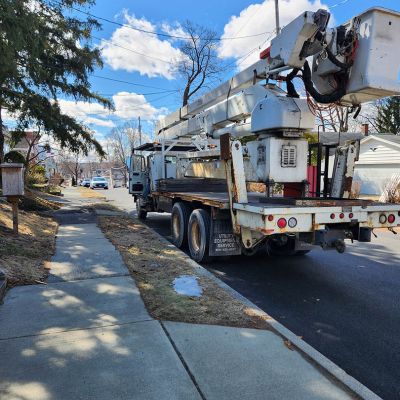 Emergency tree service operation site