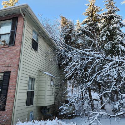 Emergency tree service operation site