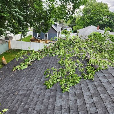 Emergency tree service operation site