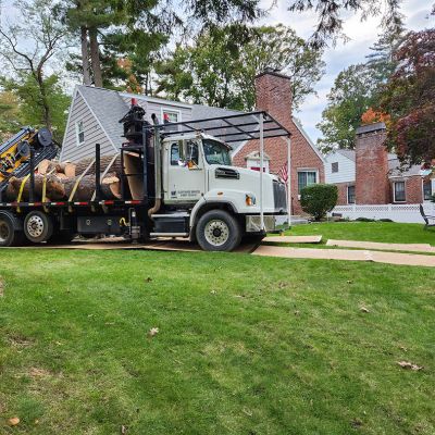 Tree care project image