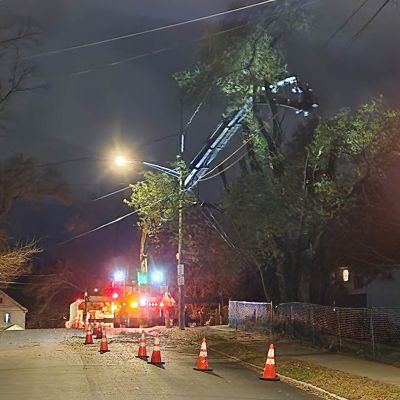 Emergency tree service operation site