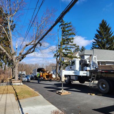Emergency tree service operation site
