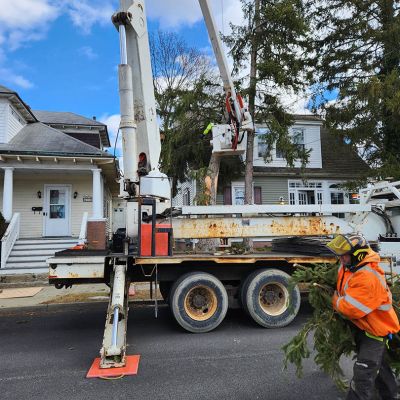 Emergency tree service operation site