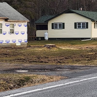 Incorrect tree service practice