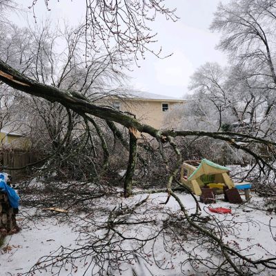 Emergency tree service operation site