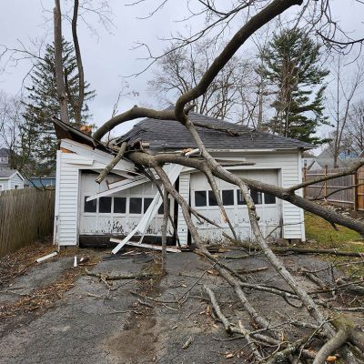 Emergency tree service operation site