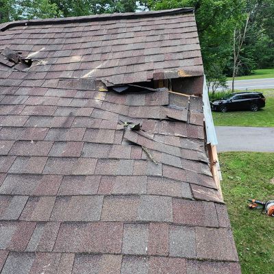 Emergency tree service operation site