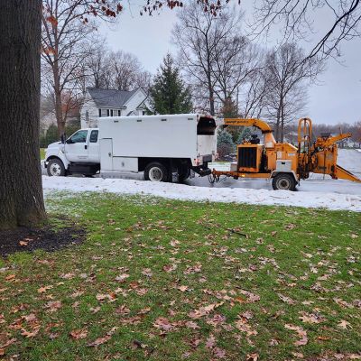 Emergency tree service operation site