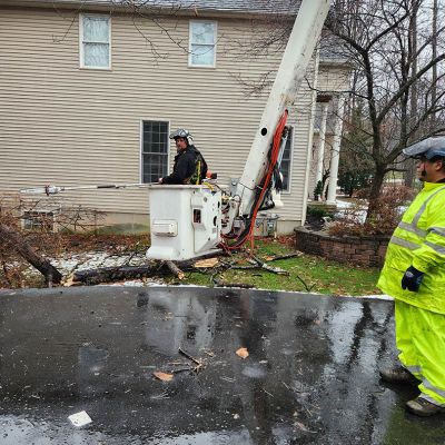 Emergency tree service operation site