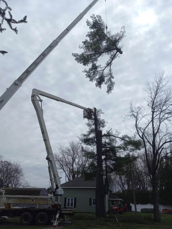 Crane and bucket services