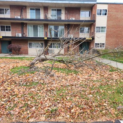 Emergency tree service operation site