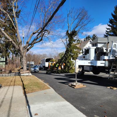 Emergency tree service operation site