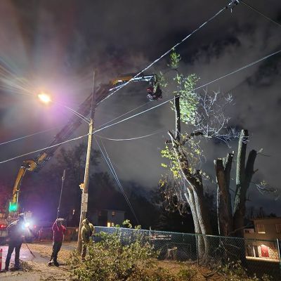 Emergency tree service operation site