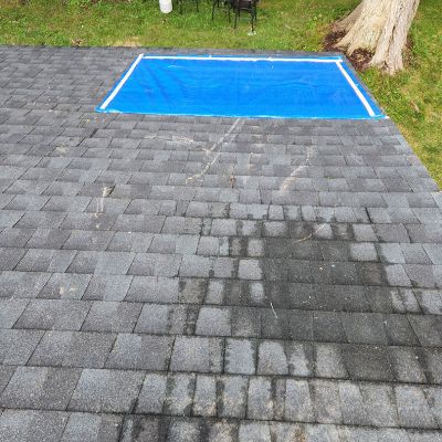 Emergency tree service operation site