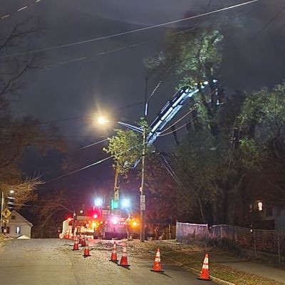 Emergency tree service operation site