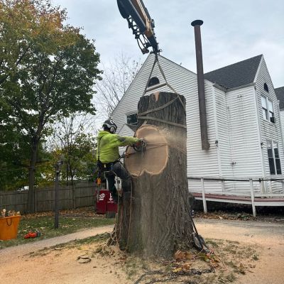 Emergency tree service operation site