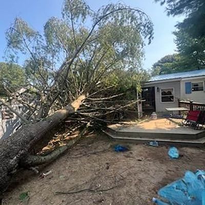 Emergency tree service operation site