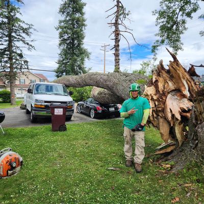 Emergency tree service operation site