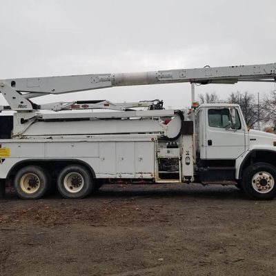 Tree care project image