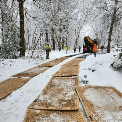 Tree care project image