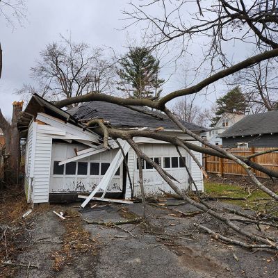 Emergency tree service operation site