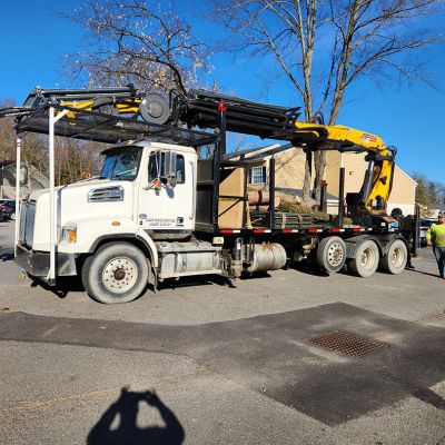 Tree care project image