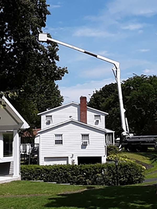 Tree trimming and pruning services