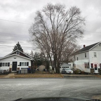 Tree care project image