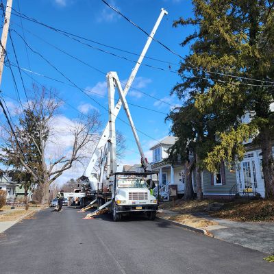 Emergency tree service operation site