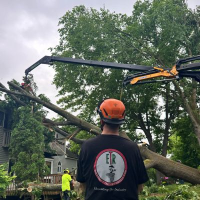 Emergency tree service operation site